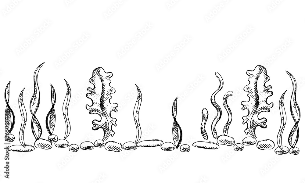 Vector doodle illustration of bottom with seaweed Vector doodle illustration of bottom with seaweed
