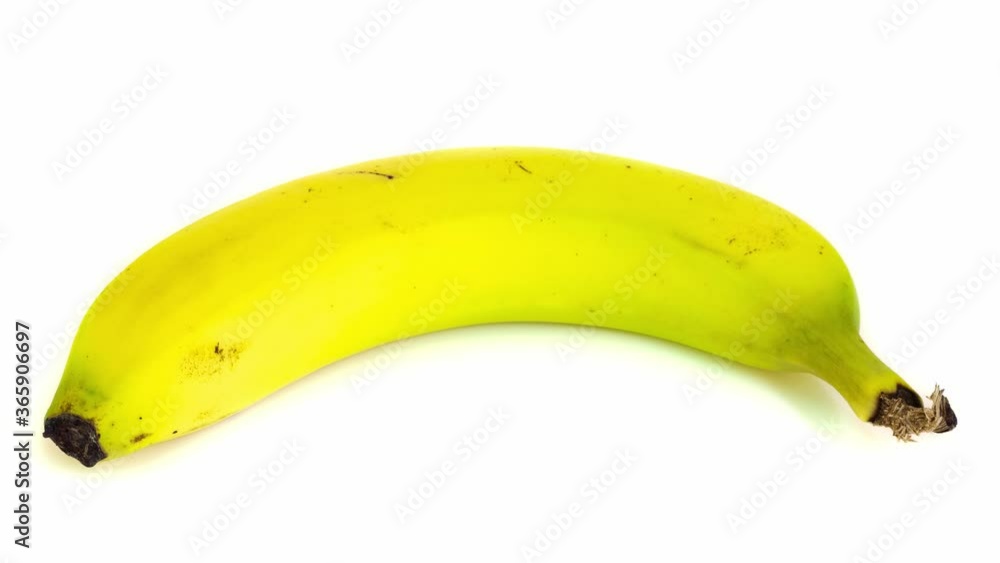 Ripening banana on white background 10 days time lapse Ripening banana on white background 10 days time lapse