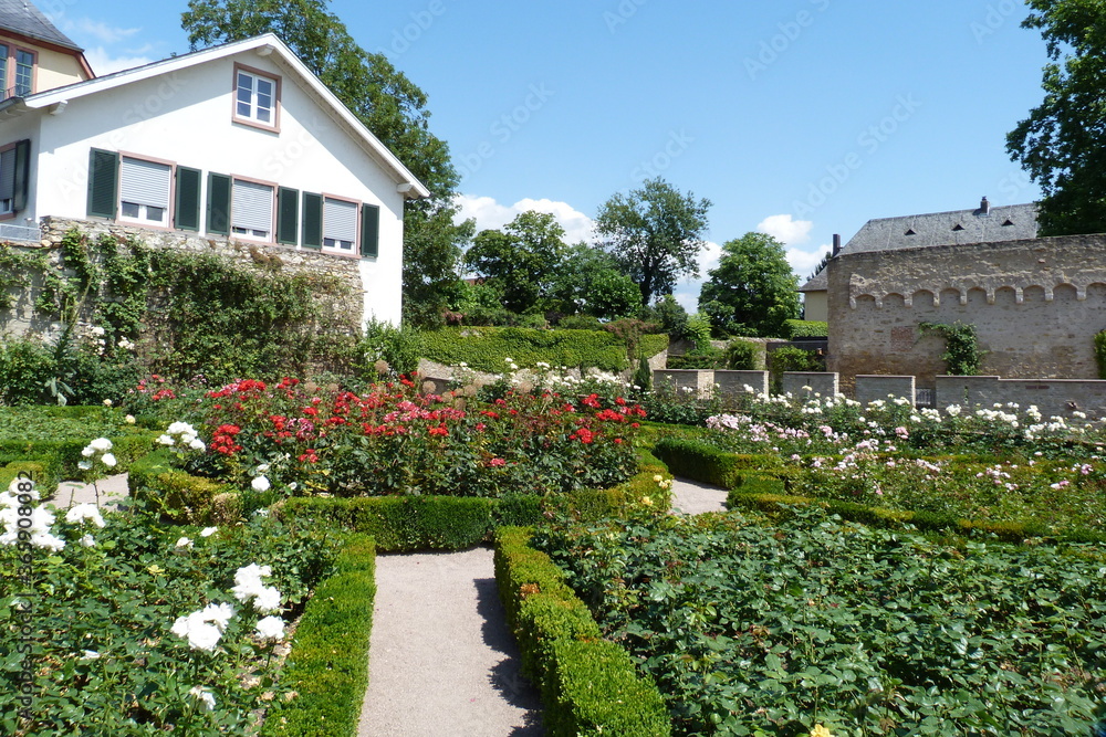 Romantischer Burggarten in Eltville am Rhein im Rheingau