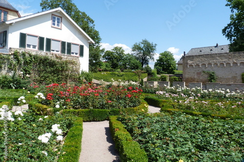 Romantischer Burggarten in Eltville am Rhein im Rheingau