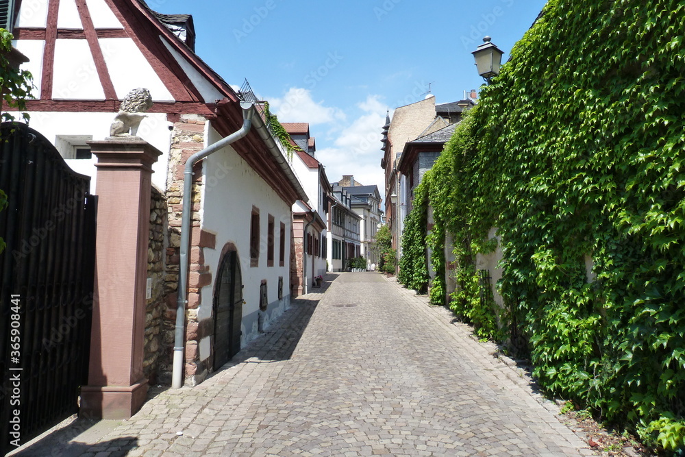 Rosengasse - Gasse mit Fachwerkhäusern in Eltville am Rhein Rosengasse - Gasse mit Fachwerkhäusern in Eltville am Rhein