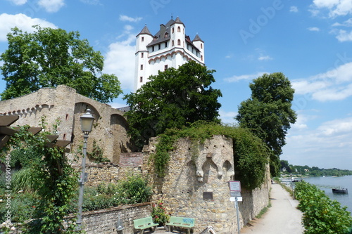 Turm der Burg in Eltvilla am Rhein mit Garten und Park photo