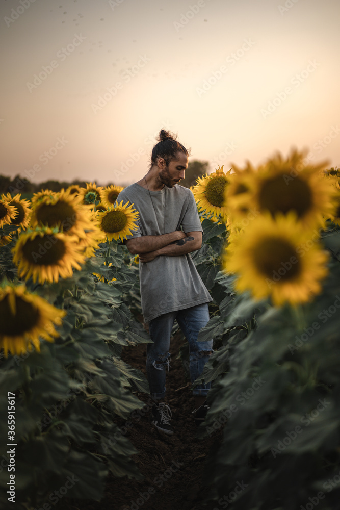 Fototapeta premium Modelo masculino con moño, barba, camiseta verde suave, pantalón vaquero roto, zapatillas verdes y colgante posa en un campo de cultivo de girasoles al atardecer