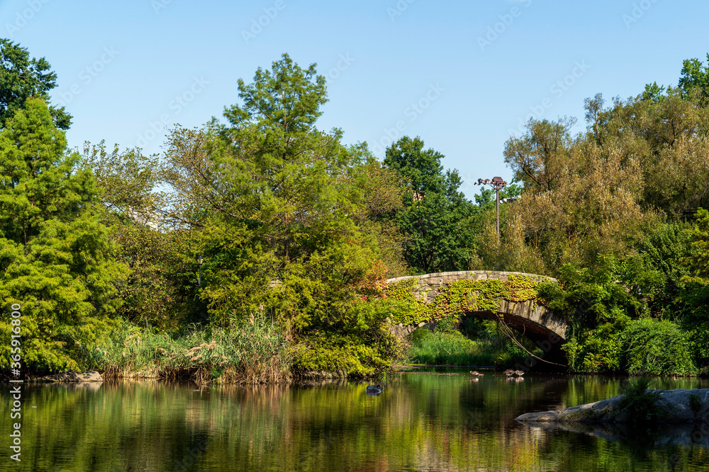 Bridge in the Park