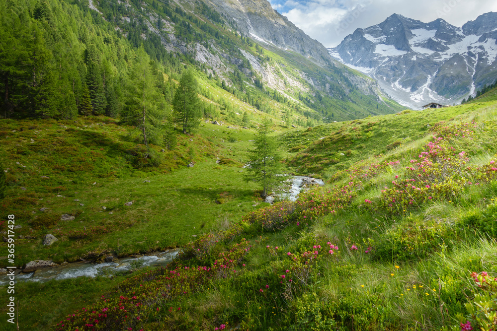 Fantastische Berglandschaft und ideales Wandergebiet  in den Alpen des Zillertal in Tirol Österreich