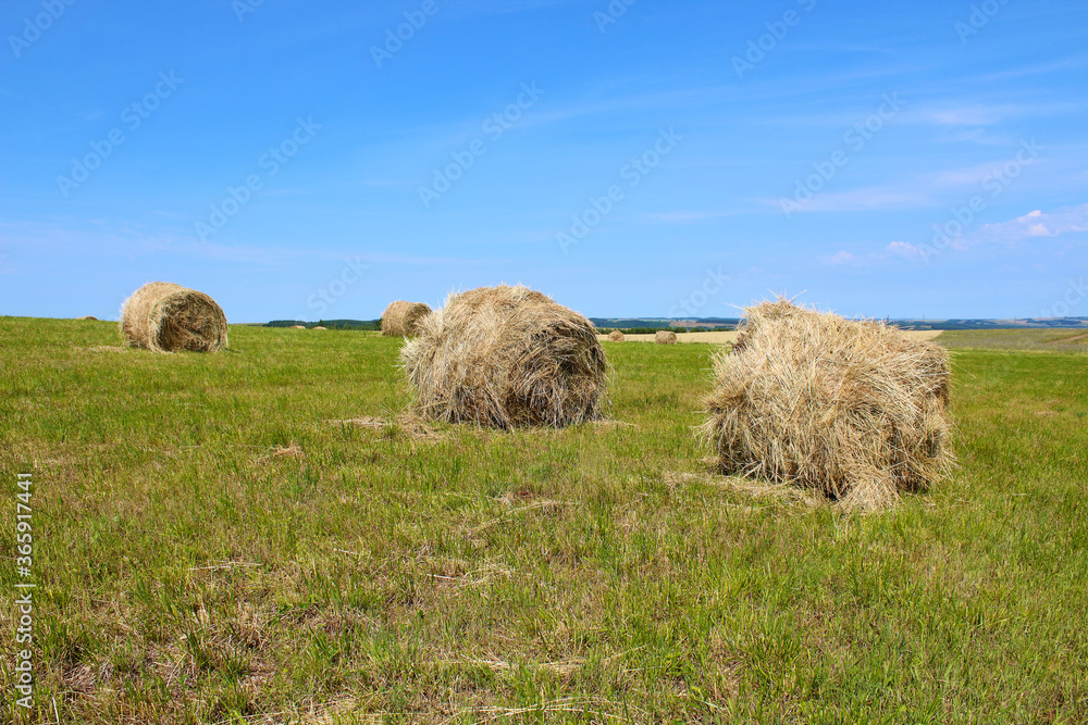 Hay bales in the field. Close-up. Beautiful summer landscape. Background. Hay bales in the field. Close-up. Beautiful summer landscape. Background.