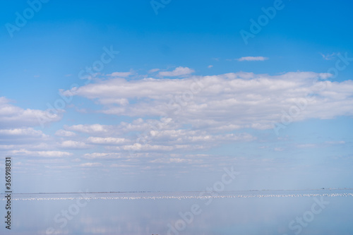 Dry sea endless sand beautiful clouds beautiful landscape estuary..