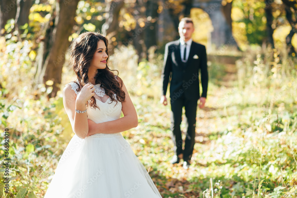 Happy couple.Wedding photo.Couple in love Happy couple.Wedding photo.Couple in love