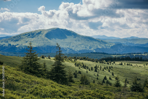 A herd of sheep standing on top of a mountain