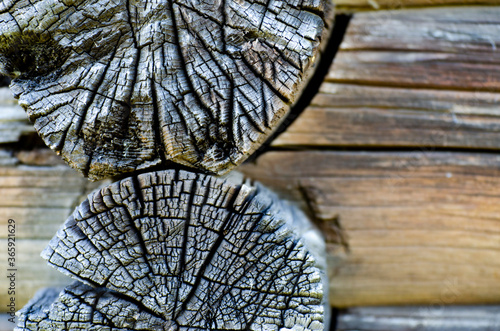 Detail of wood logs wall of rural house photo