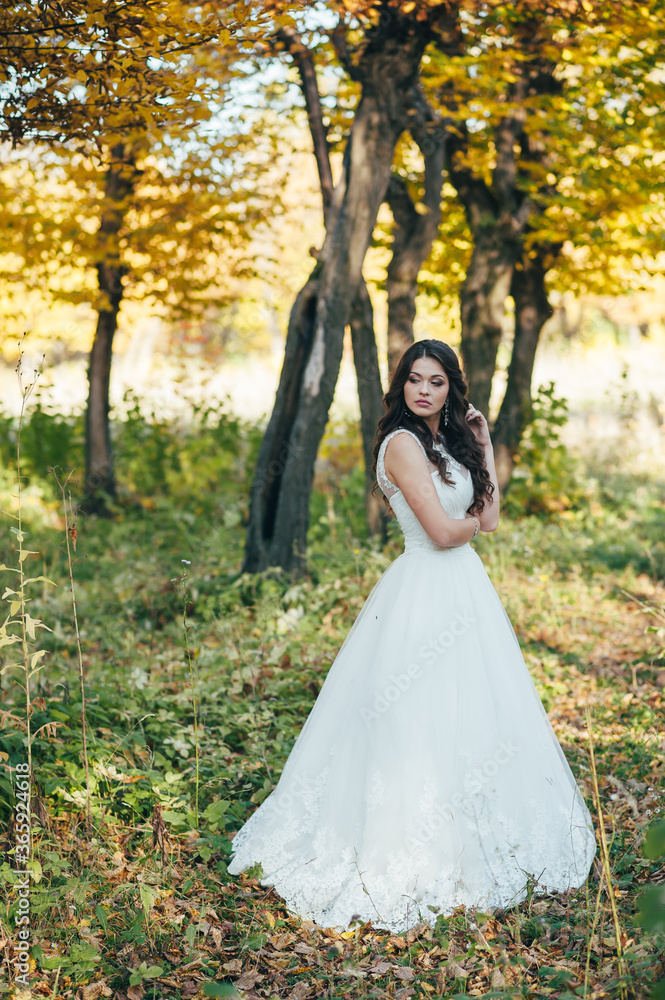 Happy beautiful young bride outside on a summer meadow at the sunset Happy beautiful young bride outside on a summer meadow at the sunset