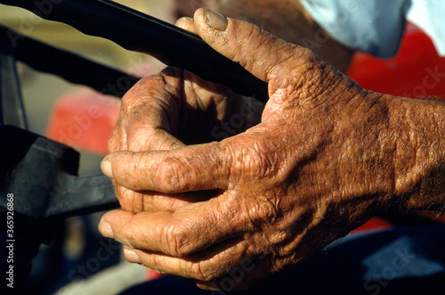 hands of farmer, Andalusia, Spain