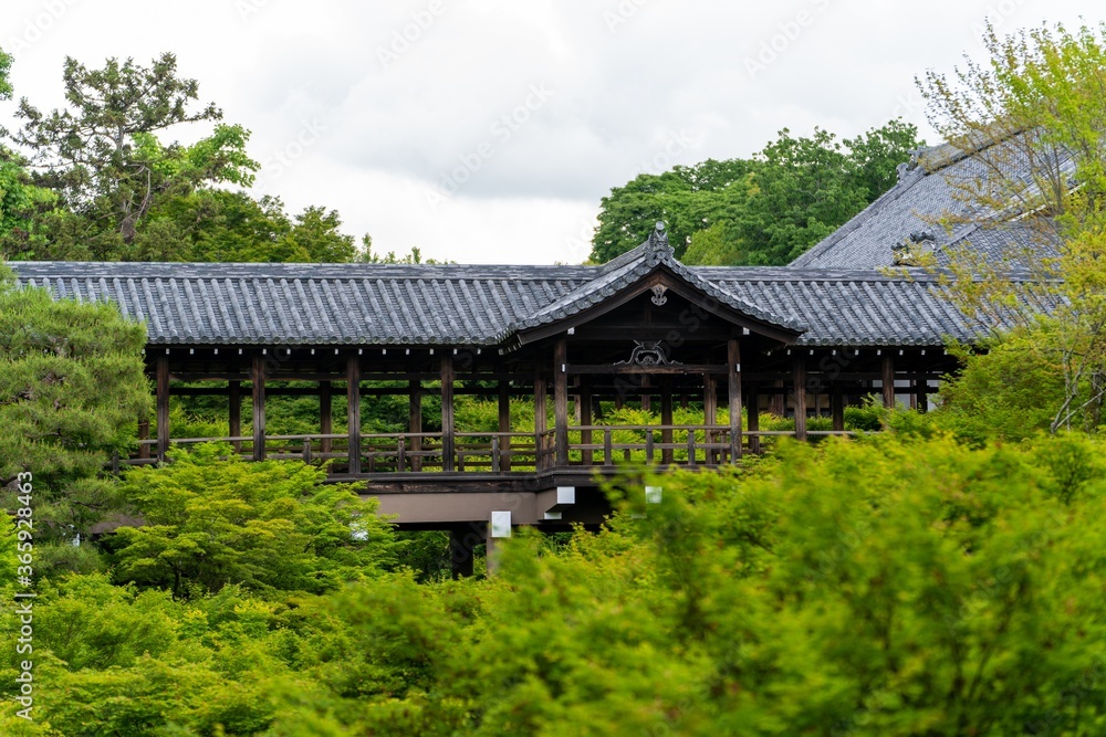 京都の自然
