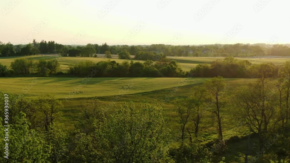 Rolling hills, green farm crop fields during magic hour, beautiful scenic setting, aerial drone view Rolling hills, green farm crop fields during magic hour, beautiful scenic setting, aerial drone view