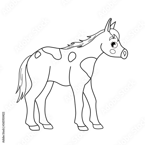 Coloring book for children. Farm animals. Foal.