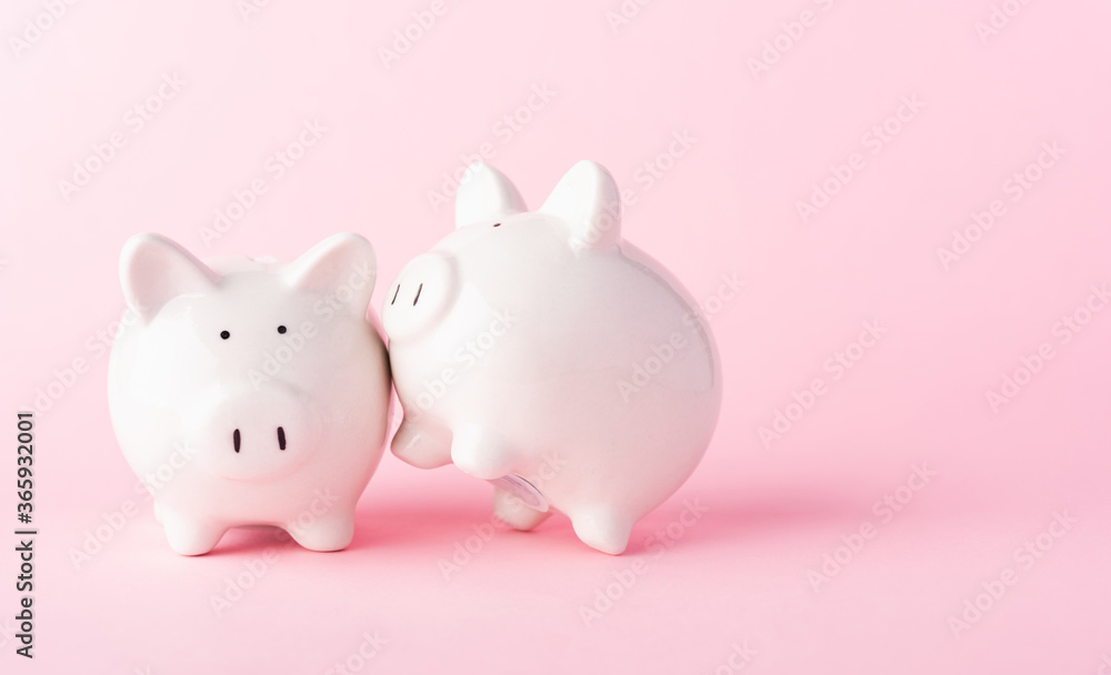 International Friendship Day, Front two small white fat piggy bank, studio shot isolated on pink background and copy space for use, Finance, deposit saving money concept