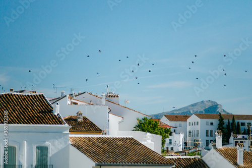 flock of birds over white townhouses, Spanish Moor town - Ronda, Malaga, Andalusia, Spain