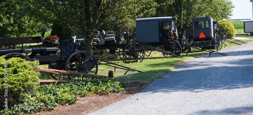 Buggies Parked for Services photo