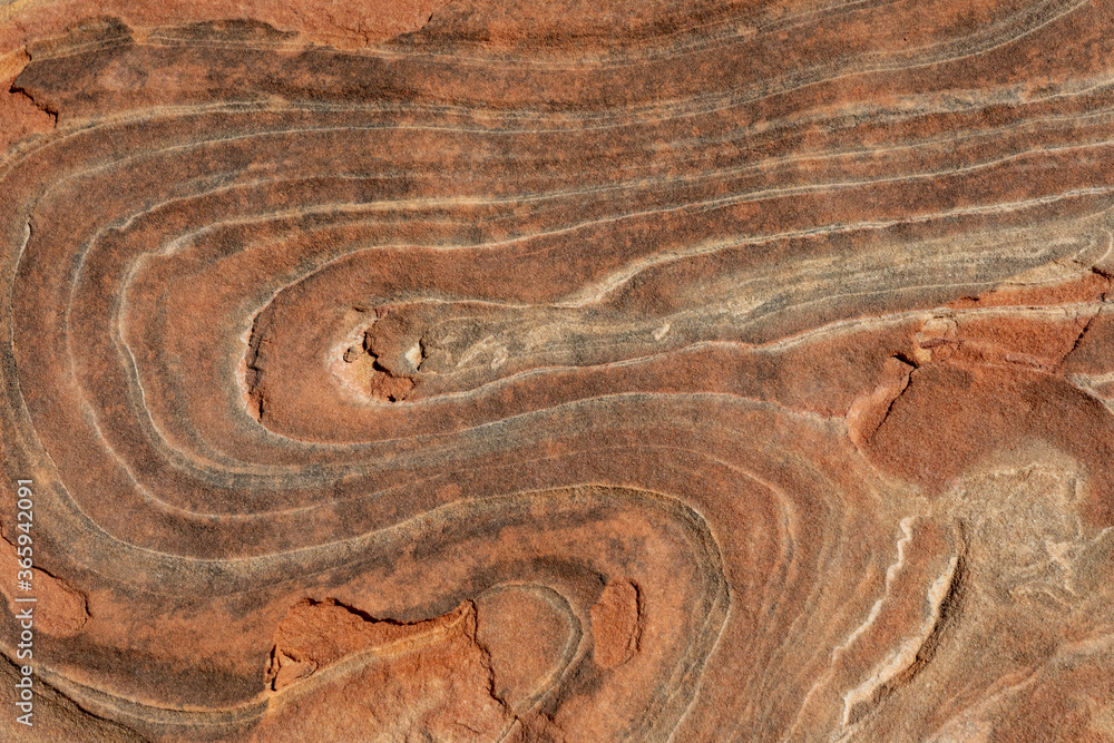Background using sandstone from the Wave in Utah and Arizona. Different patterns and colors that make up the sandstone in Utah and Arizona. Background using sandstone from the Wave in Utah and Arizona. Different patterns and colors that make up the sandstone in Utah and Arizona.