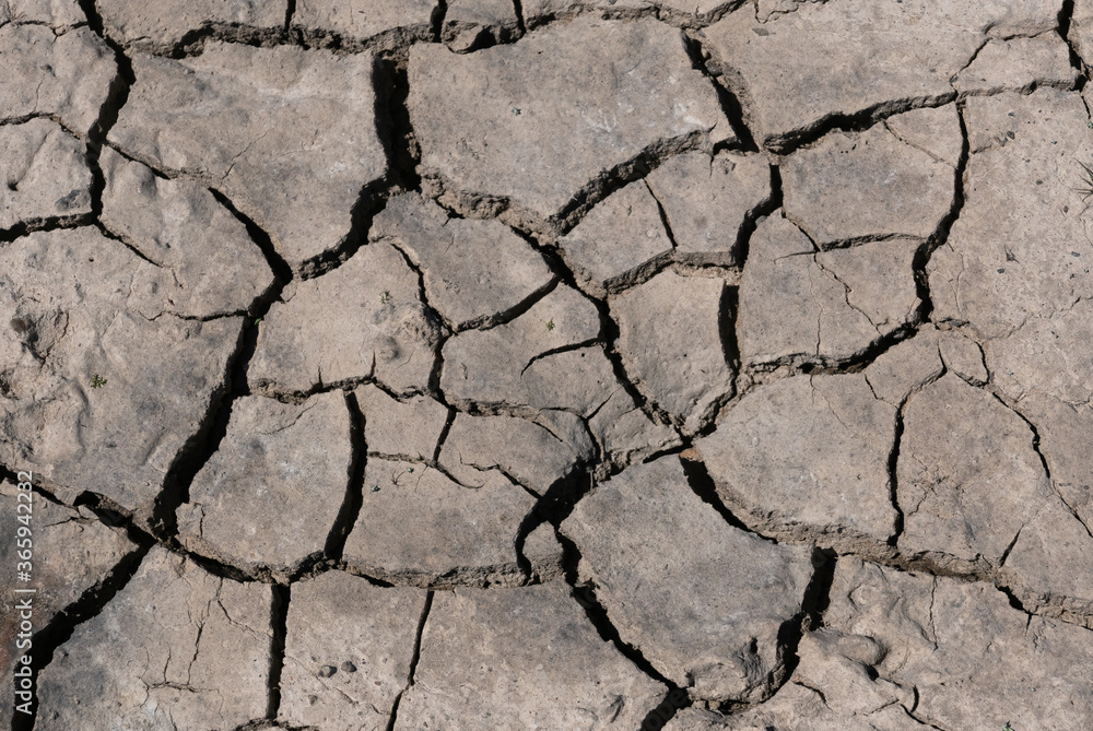 Close up of dry cracked earth in a drought Close up of dry cracked earth in a drought
