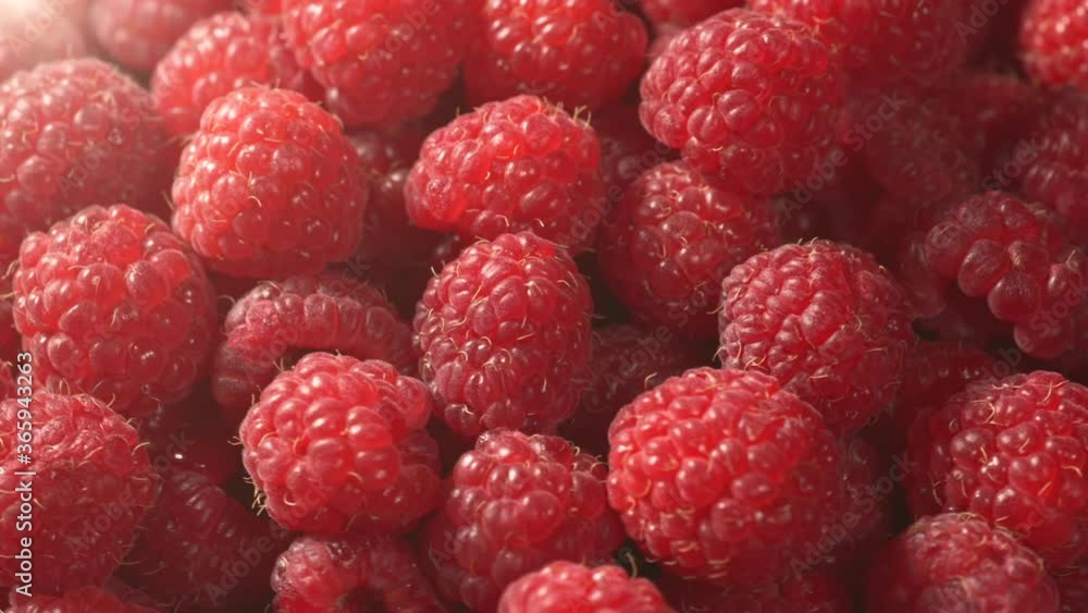 Fresh red Raspberry fruits as organic and vitamin food background, close up Fresh red Raspberry fruits as organic and vitamin food background, close up