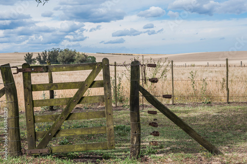 old wooden fence and a wheat field in Argentina