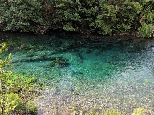 Crystal-clear green river