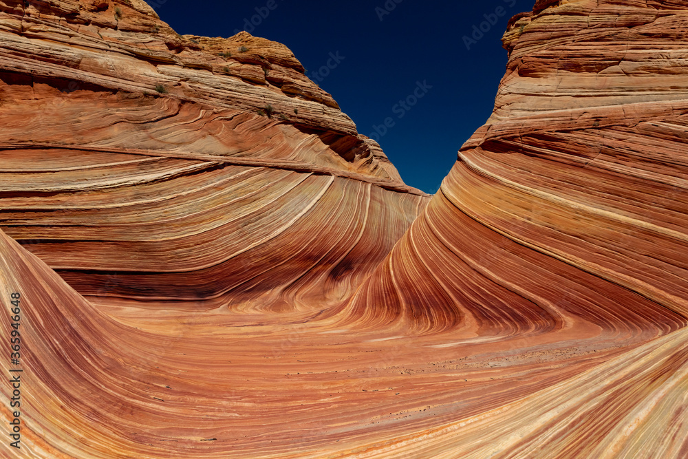 Hiking the Wave in Utah and Arizona with a desert view of sandstone rock