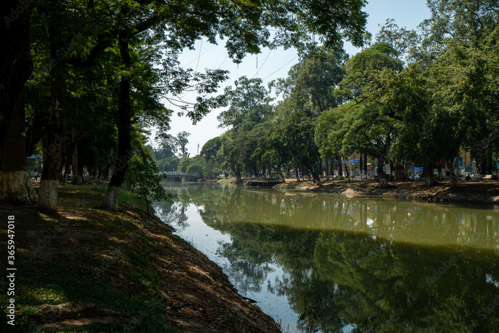 Trees on the bank of Siem Reap river in Cambodia Trees on the bank of Siem Reap river in Cambodia