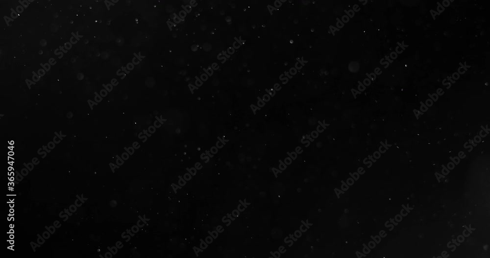 Sparkling magical dust particles Sparkling magical dust particles