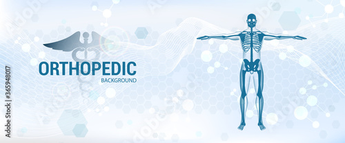 Healthcare orthopedic anatomy banner with 3D skeleton. Medical orthopedic banner for treatment of bones and joints - spine, arms, ankle, pelvis, knee, hip and other. Medical Orthopedic Vector Banner