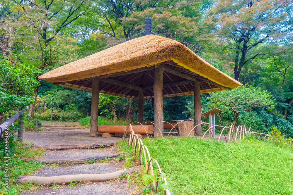 Japan. Gazebo in a Japanese Park. Gazebo with a roof made of natural materials. A place to relax in nature. Natural attractions of Japan. A picturesque fragment of a Japanese Park. Travel to Japan. Japan. Gazebo in a Japanese Park. Gazebo with a roof made of natural materials. A place to relax in nature. Natural attractions of Japan. A picturesque fragment of a Japanese Park. Travel to Japan.