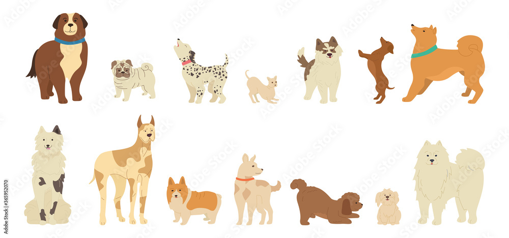 Dog character cartoon collection. Funny different breeds dogs flat style. Hand drawn friendly animals husky, corgi, pug and dachshund. Cute loyal muzzle. Isolated vector illustration