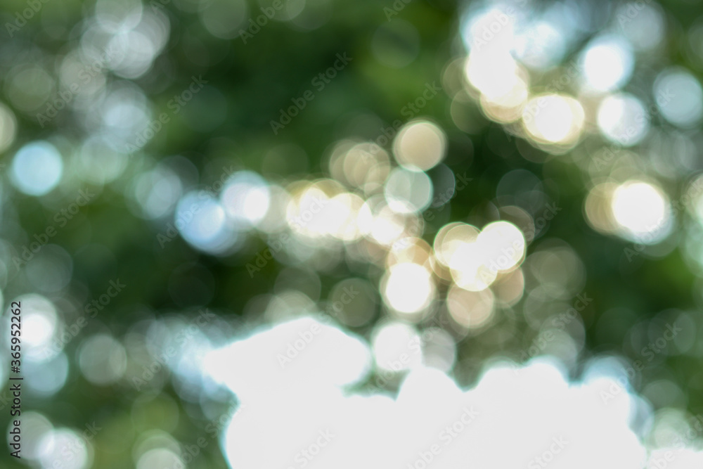 Obraz premium abstract bokeh background