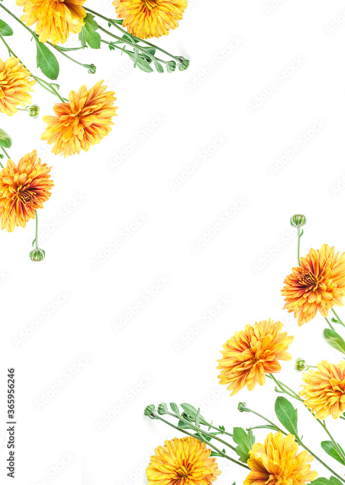 Flowers composition from chrysanthemum flowers Flowers composition from chrysanthemum flowers