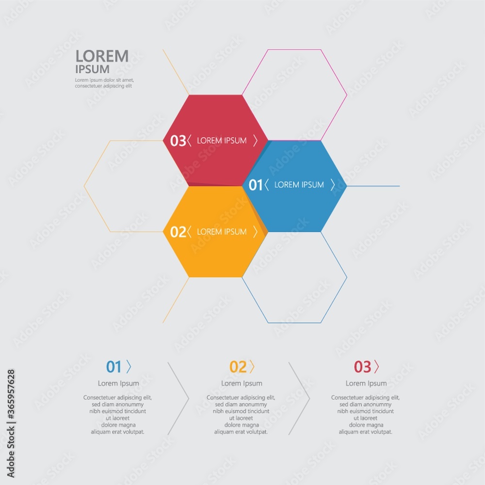 infographic template design infographic template design