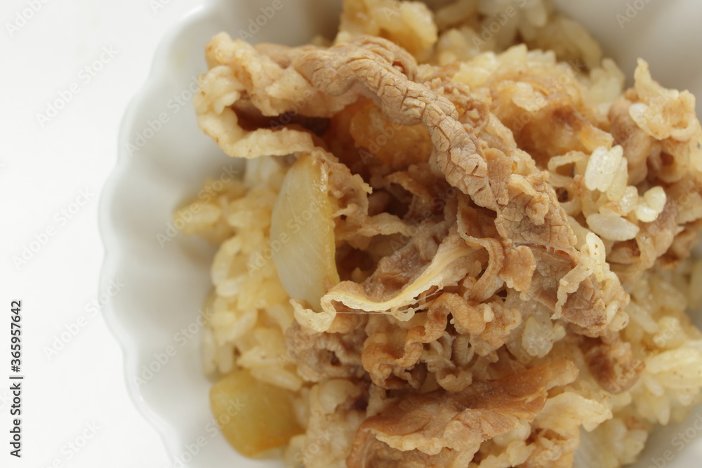 Japanese food, simmered beef and onion on rice Japanese food, simmered beef and onion on rice