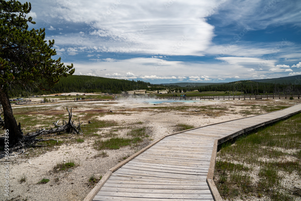 Boardwalk area for safe hiking in the Biscuit Basin thermal area of Yellowstone National Park
