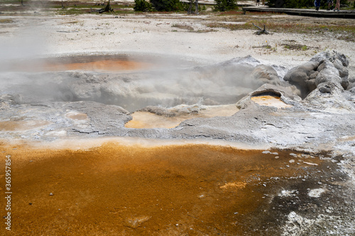 Bubbling and steaming Avoca Spring in Biscuit Basin area of Yellowstone National Park