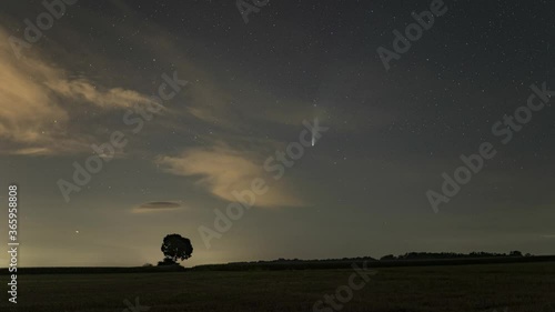 C/2020 F3 comet (NEOWISE) in the evening sky. On the horizon is a silhouette of a tree and a bright comet among the stars. Photographed in Hungary on July 19, 2020.