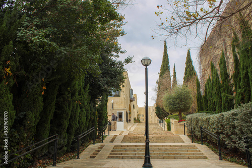 Wallpaper Mural alley in the park with light pole Torontodigital.ca