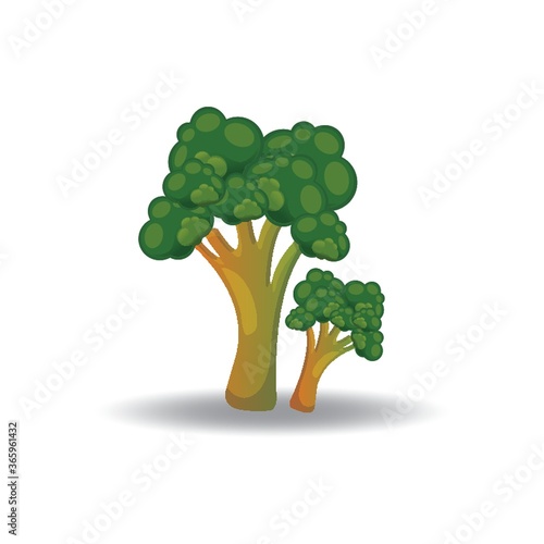 broccoli