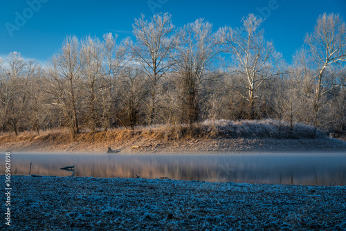 winter landscape with trees