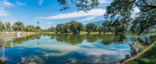 Beautiful landscape of lake and trees in a oldest public park in Malaysia known as Taiping Lake Garden.