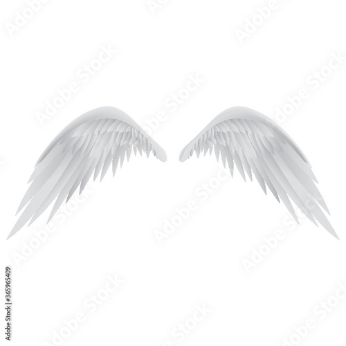 angel wings
