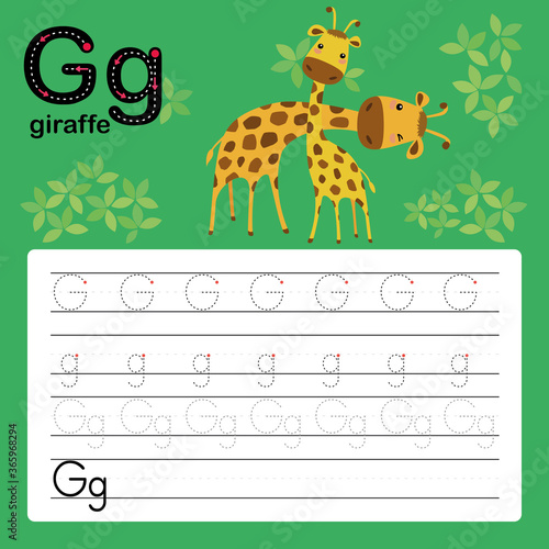 G, giraffe, Alphabet tracing worksheet for preschool and kindergarten to improve basic writing skills, vector, illustration 