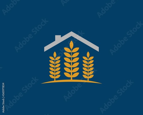 Golden wheat farm and house