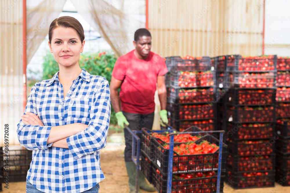 Confident woman greenhouse owner standing with arms crossed in vegetable store on background with boxes with freshly picked tomatoes during harvest