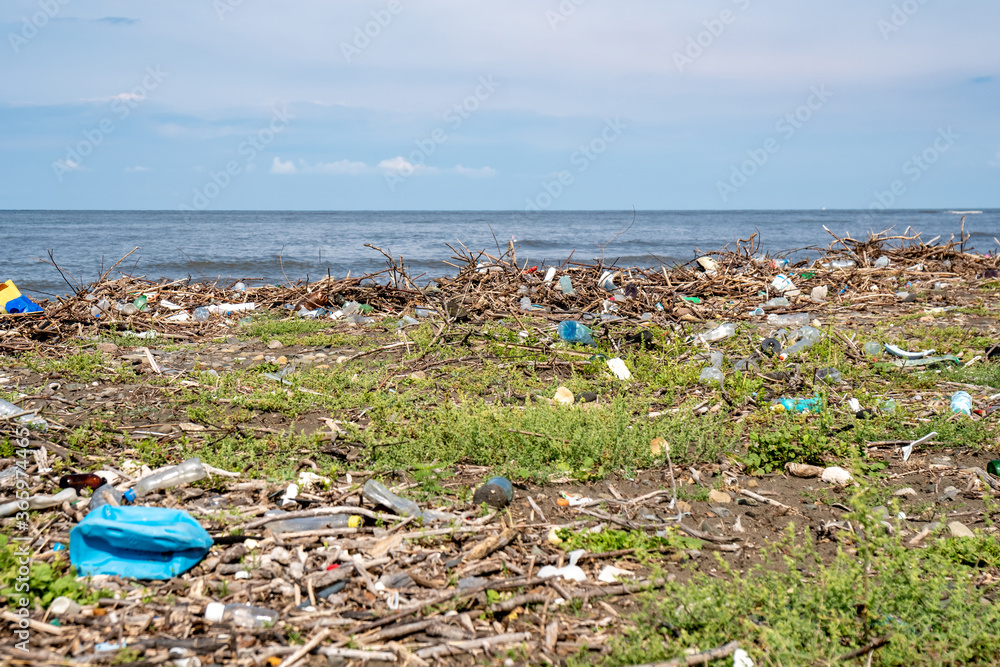 The problem of pollution and ecology of the sea shore and the ocean The problem of pollution and ecology of the sea shore and the ocean