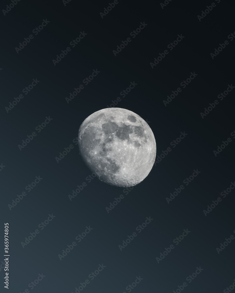 Fototapeta premium Earth's moon